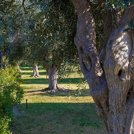 Filoxenia & Ξενοδοχείο με διαμερίσματα